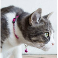 Rogz Fancy Cat Breakaway Cat Collar 貓安全頸帶-紅色 (20-31cm)